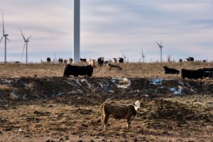 Wind Turbines in Waverly